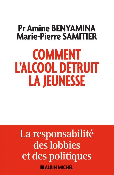 Emprunter Comment l'alcool détruit la jeunesse. La responsabilité des lobbies et des politiques livre