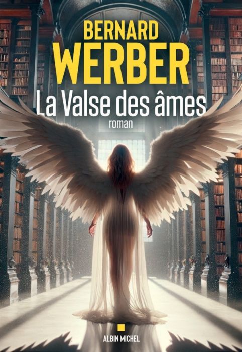 Emprunter La valse des âmes livre