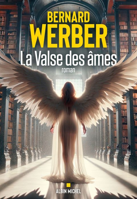 Emprunter La valse des âmes livre