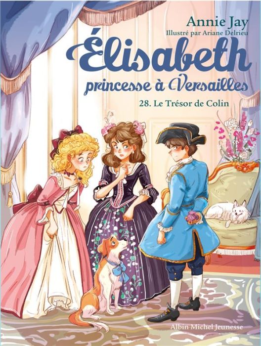 Emprunter Elisabeth, princesse à Versailles Tome 28 : Le trésor de Colin livre