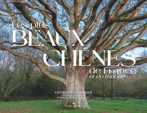 Emprunter Les plus beaux chênes de France et du monde livre