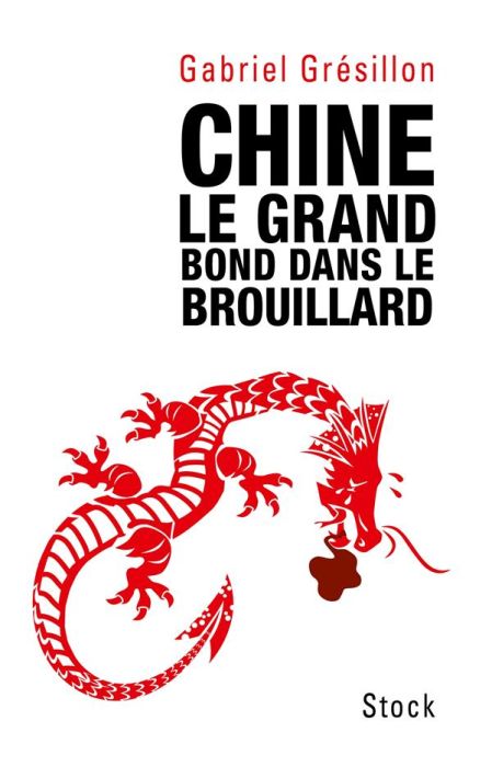 Emprunter Chine, le grand bond dans le brouillard livre