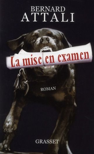 Emprunter La mise en examen livre