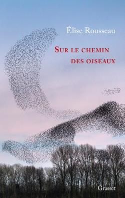 Emprunter Sur le chemin des oiseaux livre