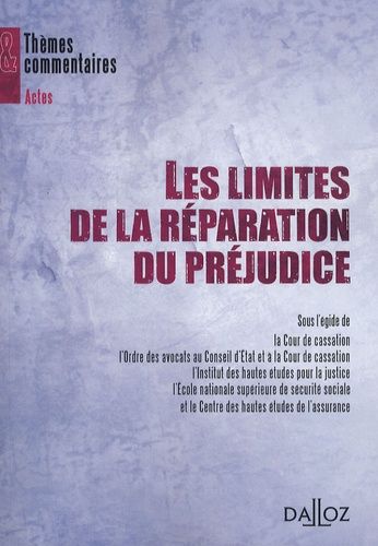 Emprunter Les limites de la réparation du préjudice. Séminaire 