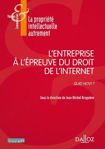 Emprunter L'entreprise à l'épreuve du droit de l'internet. Quid novi ? livre