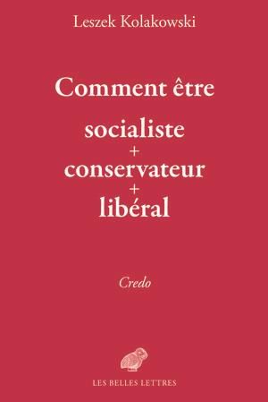 Emprunter Comment être socialiste-conservateur-libéral ? livre