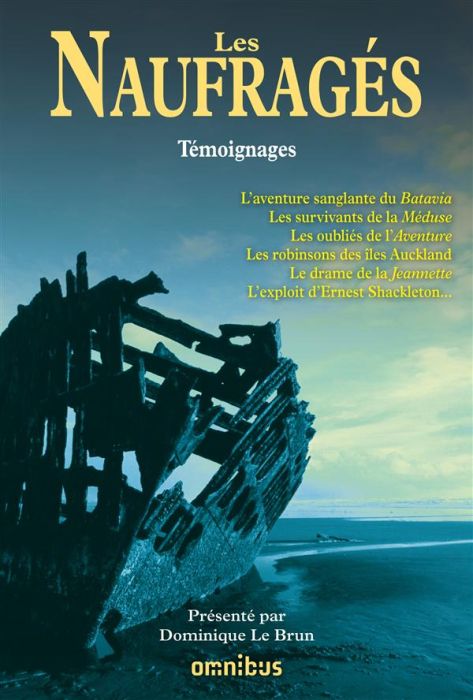 Emprunter Les Naufragés. Témoignages livre