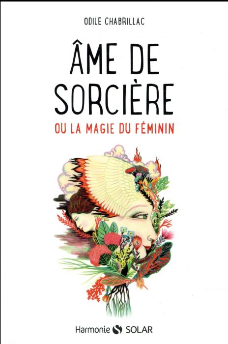 Emprunter Ame de sorcière ou la magie au féminin livre