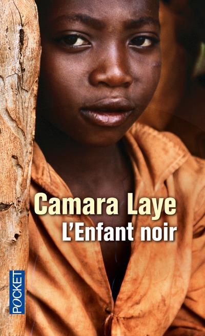 Emprunter L'enfant noir livre