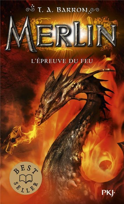 Emprunter Merlin Tome 3 : L'épreuve du feu livre