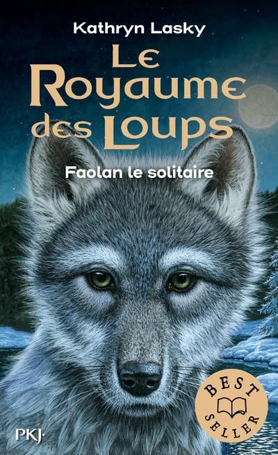 Emprunter Le royaume des loups Tome 1 : Faolan le solitaire livre