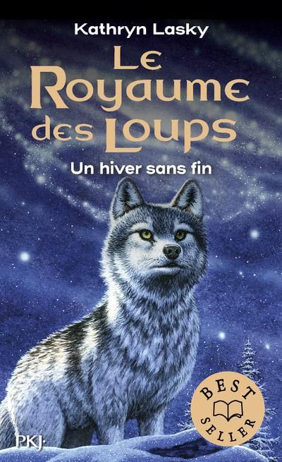 Emprunter Le royaume des loups Tome 4 : Un hiver sans fin livre