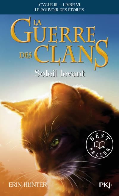 Emprunter La guerre des clans : le pouvoir des étoiles (Cycle III) Tome 6 : Soleil levant livre