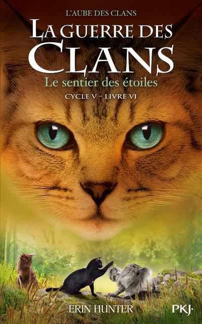 Emprunter La guerre des clans : L'aube des clans (Cycle V) Tome 6 : Le sentier des étoiles livre