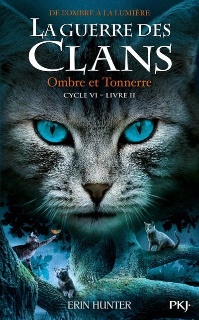 Emprunter La guerre des clans : De l'ombre à la lumière (Cycle VI) Tome 2 : Ombre et tonnerre livre