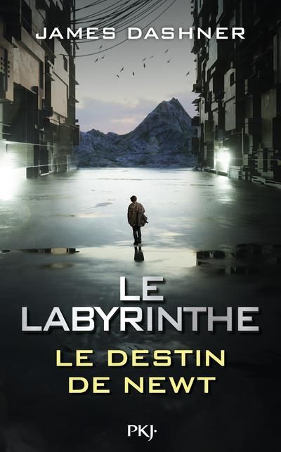 Emprunter Le Labyrinthe. Le destin de Newt livre