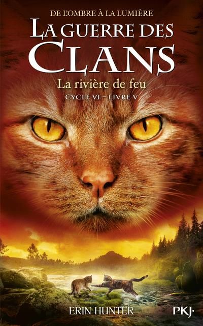 Emprunter La guerre des clans : De l'ombre à la lumière (Cycle VI) Tome 5 : La rivière de feu livre