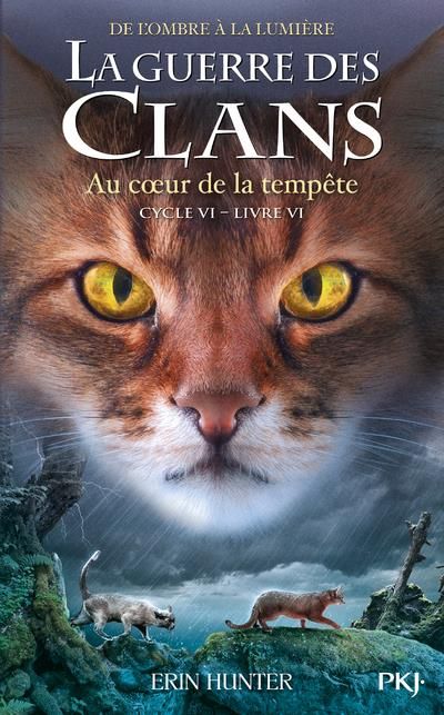 Emprunter La guerre des clans : De l'ombre à la lumière (Cycle VI) Tome 6 : Au coeur de la tourmente livre