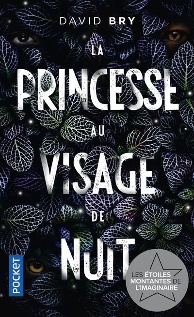 Emprunter La Princesse au visage de nuit livre