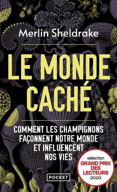 Emprunter Le monde caché. Comment les champignons façonnent notre monde et influencent nos vies livre