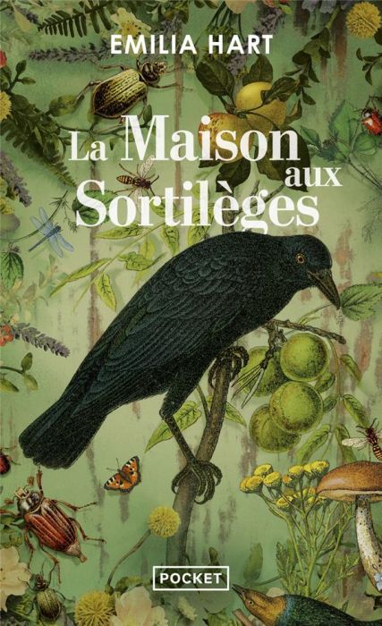 Emprunter La maison aux sortilèges livre