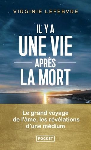 Emprunter Il y a une vie après la mort. Les révélations d'une médium livre