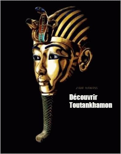 Emprunter A la découverte de Toutankhamon. De Howard Carter à l'ADN livre