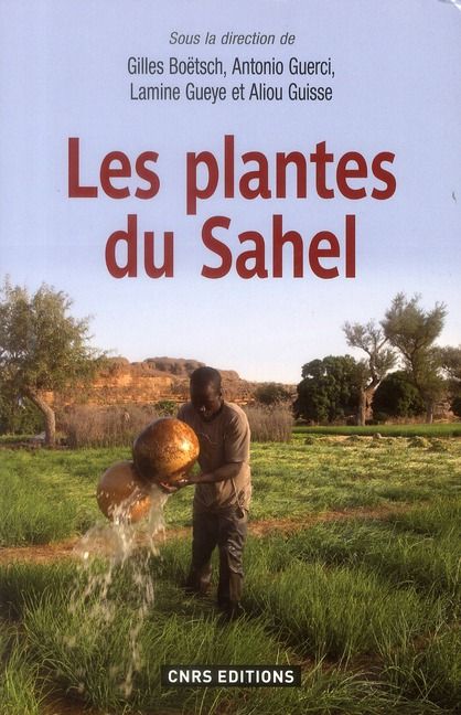 Emprunter Les plantes du Sahel. Usages et enjeux sociaux livre