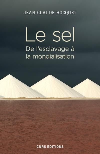 Emprunter Le sel. De l'esclavage à la mondialisation livre