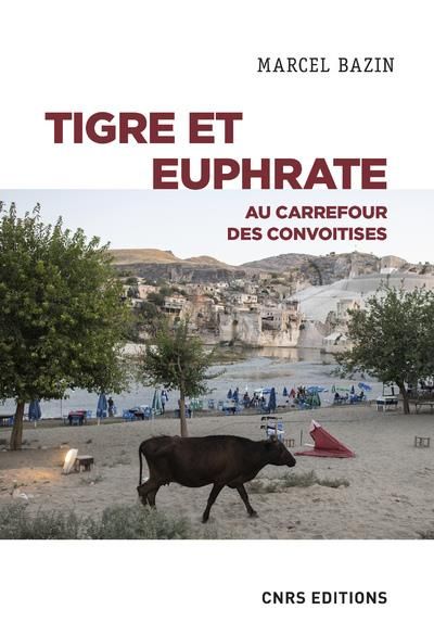 Emprunter Tigre et Euphrate. Au carrefour des convoitises livre