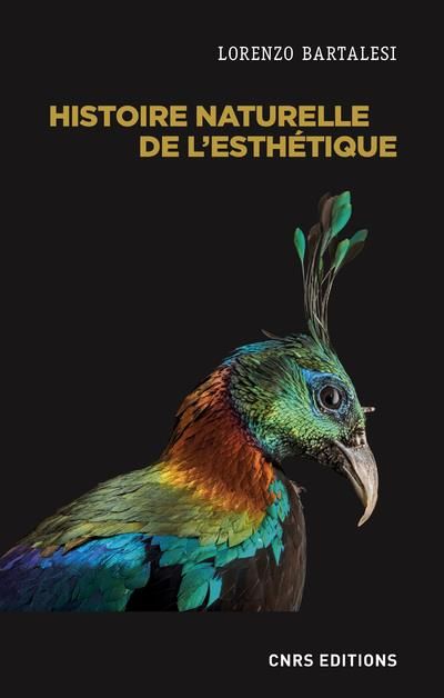 Emprunter Histoire naturelle de l'esthétique livre