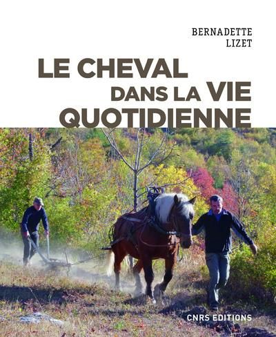 Emprunter Le cheval dans la vie quotidienne. Techniques et représentations du cheval de travail dans l'Europe livre