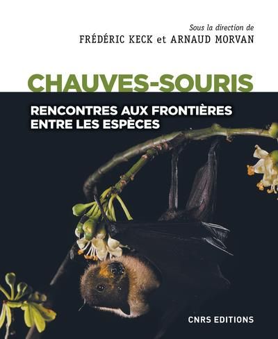 Emprunter Les chauves-souris. Rencontres aux frontières entre les espèces livre