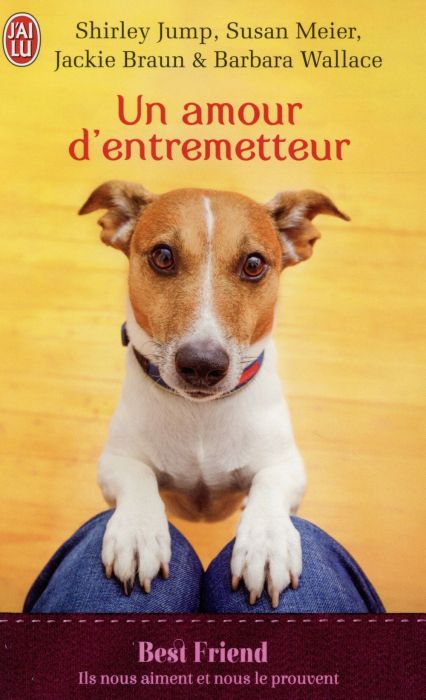 Emprunter Un amour d'entremetteur livre