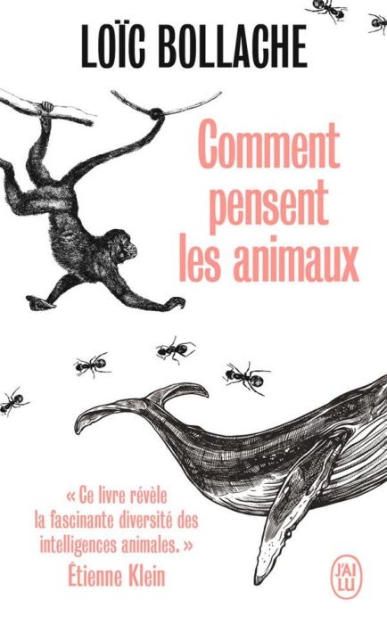 Emprunter Comment pensent les animaux livre