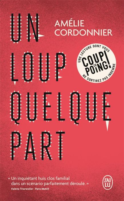 Emprunter Un loup quelque part livre