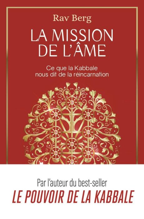 Emprunter La mission de l'âme. Ce que la Kabbale nous dit de la réincarnation livre