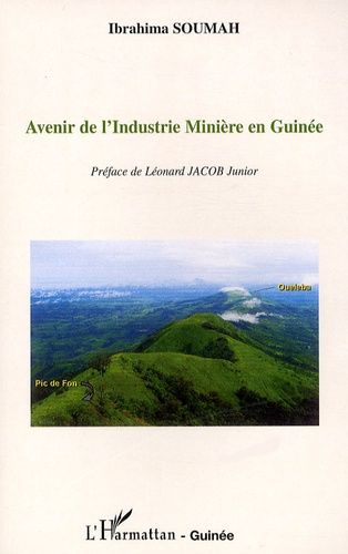 Emprunter Avenir de l'industrie minière en Guinée livre