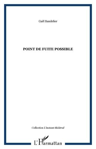 Emprunter Point de fuite possible livre