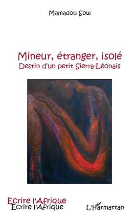 Emprunter Mineur, étranger, isolé. Destin d'un petit Sierra-Léonais livre