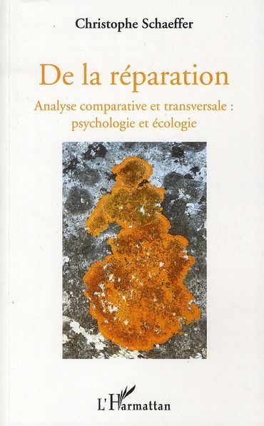 Emprunter De la réparation. Analyse comparative et transversal : psychologie et écologie livre