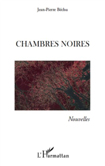 Emprunter Chambres noires livre