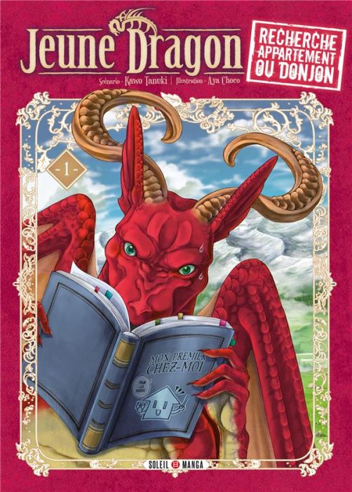 Emprunter Jeune Dragon recherche appartement ou donjon Tome 1 livre