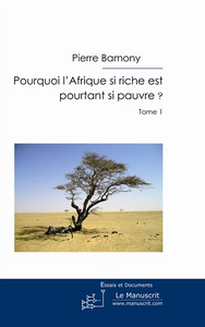 Emprunter Pourquoi l'Afrique si riche est pourtant si pauvre ? livre