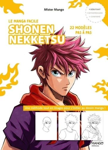 Emprunter Shonen nekketsu. 22 modèles pas à pas livre