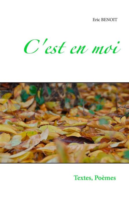 Emprunter C'est en moi. Textes et poèmes D'un balade dans la vie, De tous les jours De toutes mes nuits. Tendr livre