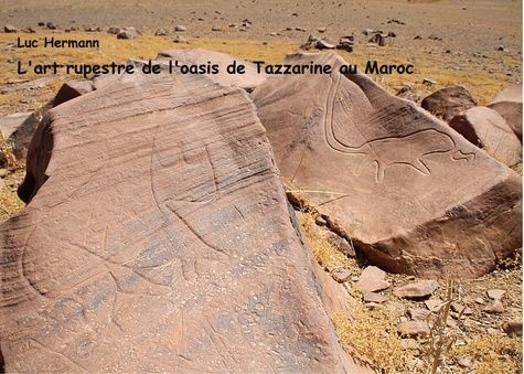 Emprunter L'art rupestre de l'oasis de Tazzarine au Maroc livre