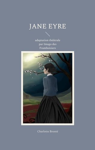 Emprunter Jane Eyre livre