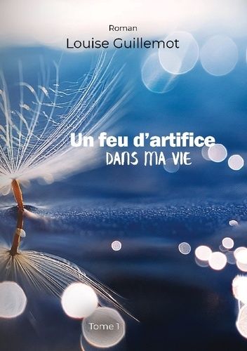 Emprunter Feu d artifice dans ma vie. Tome 1 foncer ou s enfoncer livre